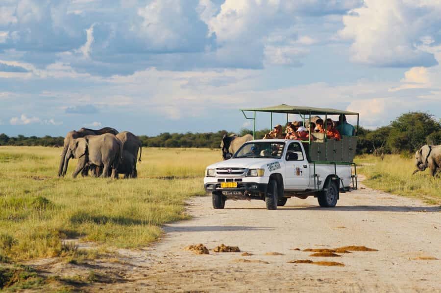 Etosha National Park: Full or Half-Day Game Drive - The Open 4x4 Ride: Cold Mornings, Close Views, and What Helps