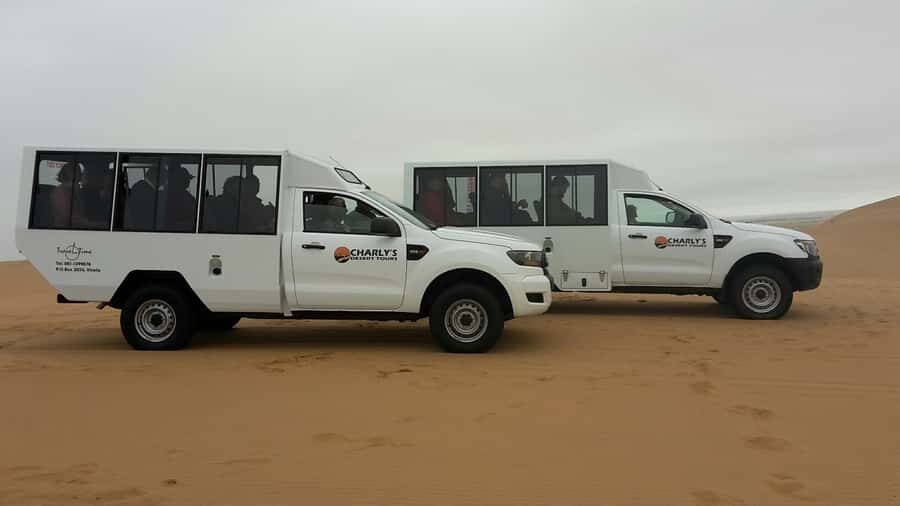From Swakopmund: Living Dunes Experience - Living Dunes Key Moments to Know