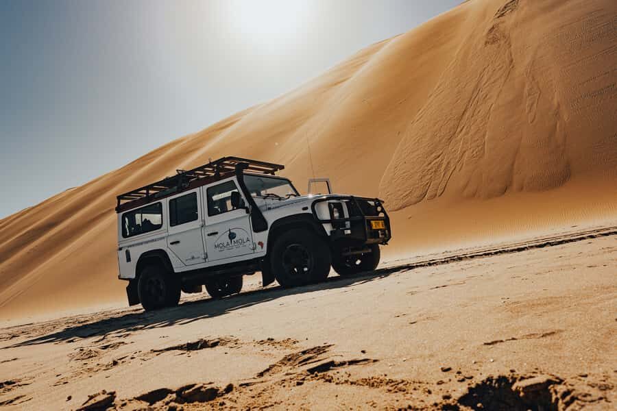 From Walvis Bay: Sandwich Harbor 4x4 Tour - Head South to Sandwich Harbour: high ancient dunes meet the ocean