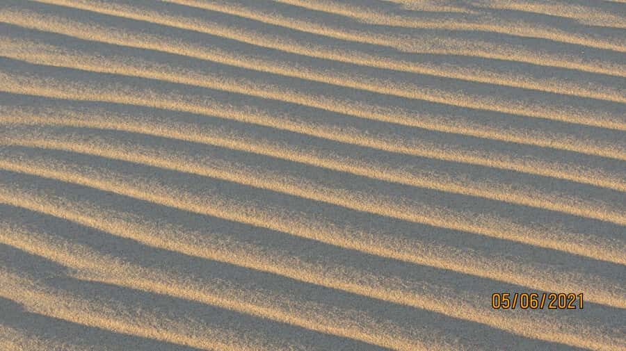 From Walvis Bay: Sandwich Harbour World Heritage Site - Price and Value: Is $153 Worth 4.5 Hours of Wetlands and Dunes?