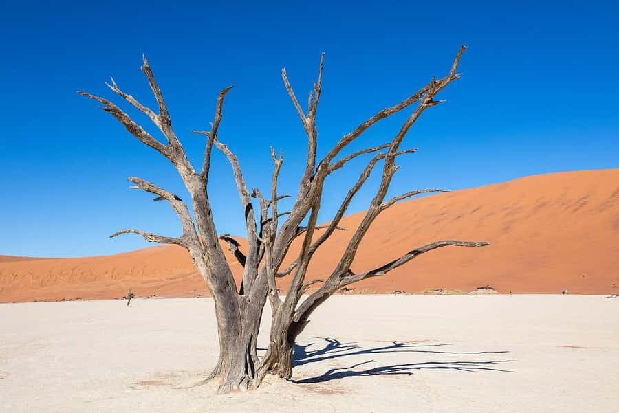 From Windhoek: Budget Sossusvlei Guided 2-Day Tour - Windhoek to Sossusvlei: why this drive is part of the point