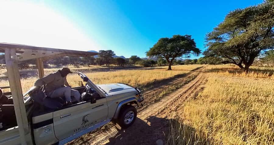 From Windhoek: Okapuka Safari Lodge Day Trip - The game drive: what you might see and how to look for it