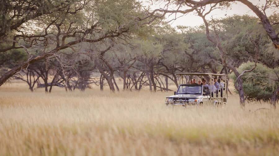 From Windhoek: Okapuka Safari Lodge Day Trip - Guided tour (about 1 hour): learning without turning it into a lecture