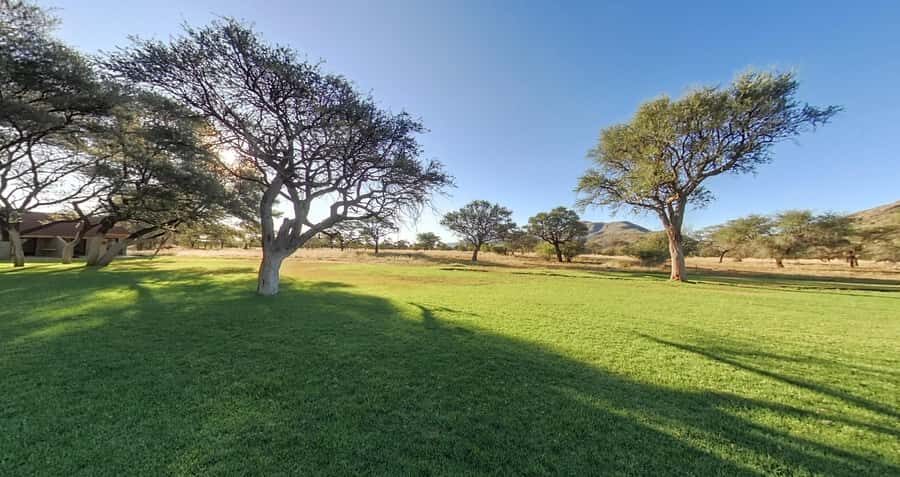 From Windhoek: Okapuka Safari Lodge Day Trip - Okapuka Safari Lodge grounds: where calm moments create better wildlife watching