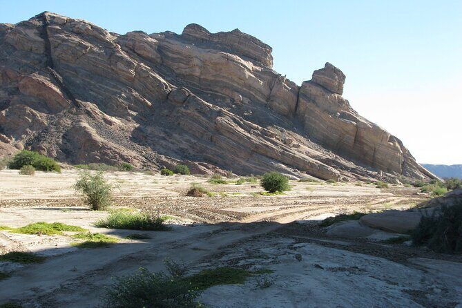Full-Day Tour in Namib Desert from Swakopmund, Namibia - Price and Value: Is $125.31 a Fair Deal?