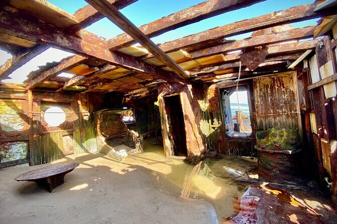 Full Day Tour Shipwreck Sandwich Harbour Adventure - The Kuiseb River delta stop: watching for wildlife in dry riverbed country