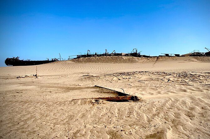 Full Day Tour Shipwreck Sandwich Harbour Adventure - How the 8-hour schedule really plays out