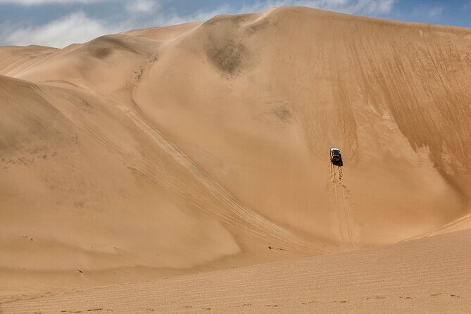 Half-Day Sandwich Harbour Tour from Walvis Bay with Lunch - Why Sandwich Harbour is different from a typical 4x4 day