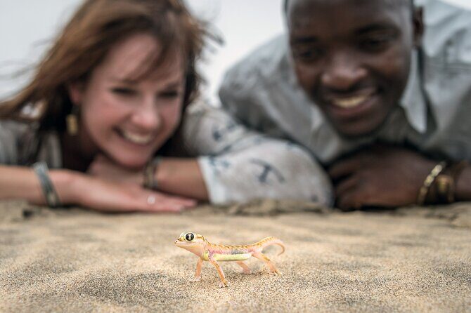 Half-Day Sandwich Harbour Tour from Walvis Bay with Lunch - Price and value: what $143.07 buys you in the real world