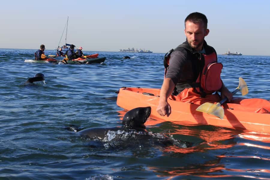Kayaking and Sandwich Harbour Combo Tour - Key highlights worth waking up for