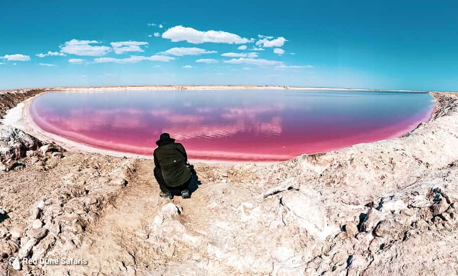 Kayaking and Sandwich Harbour Combo Tour - Walvis Bay at 07:45: where the day starts and how not to miss it
