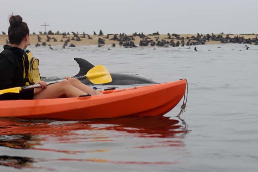 Kayaking and Sandwich Harbour Combo Tour - Walvis Bay Lagoon drive: flamingos, pelicans, and cormorants on the way