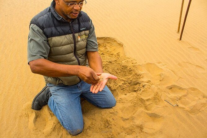 LIVING DESERT TOUR (Little 5 tour) - Welwitschia and Moonlandscape Rocks: The Ancient Stop That Breaks Up the Hunt