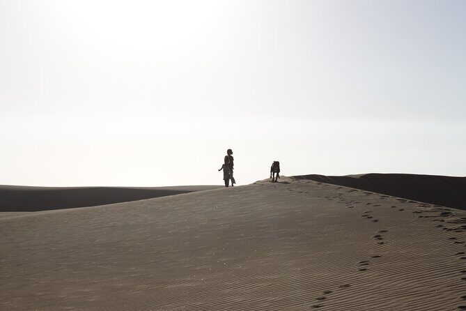 LIVING DESERT TOUR (Little 5 tour) - Guide Nick’s Impact: Finding Life and Explaining Namibia