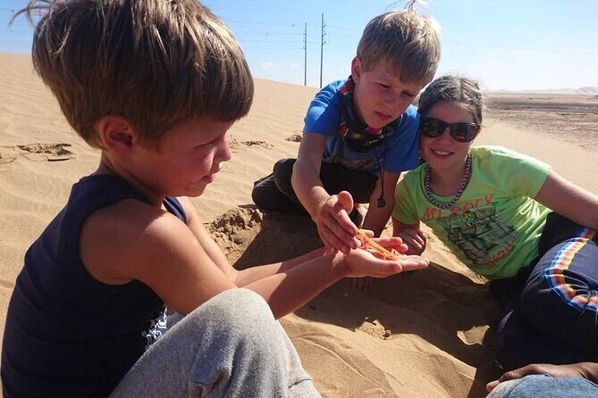 LIVING DESERT TOUR (Little 5 tour) - What to Expect in the Real World: Fitness, Weather, and Timing