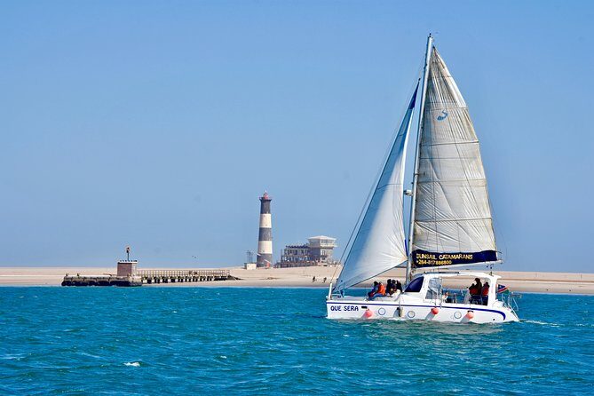 Marine Dolphin Seal Cruise - Why Walvis Bay’s Lagoon Cruise Feels Different From Usual Sightseeing