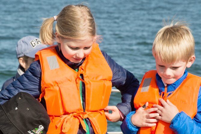Marine Dolphin Seal Cruise - Weather, Sea State, and Motion Sickness: Plan Like a Real Person