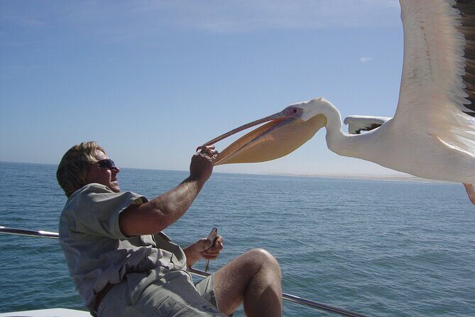 Marine Dune Day: Catamaran Cruise and Sandwich Harbor Dune Drive - The 60 km shore drive to Sandwich Harbour: birds, Namib Naukluft Park, and big dune energy
