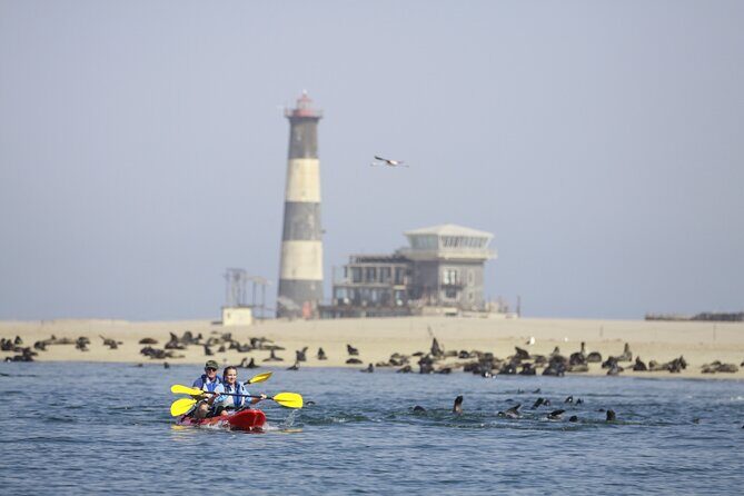 Mola Mola Kayaking Experience with a Licensed Guide - Gear, Guides, and Group Size: How This Stays Organized