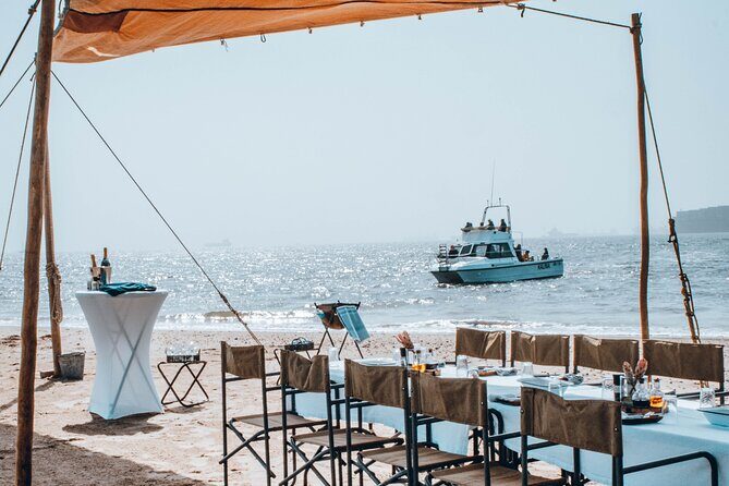 Mola Mola Marine Dolphin Cruise & Beach Braai on Pelican Point - Key things to know before you go