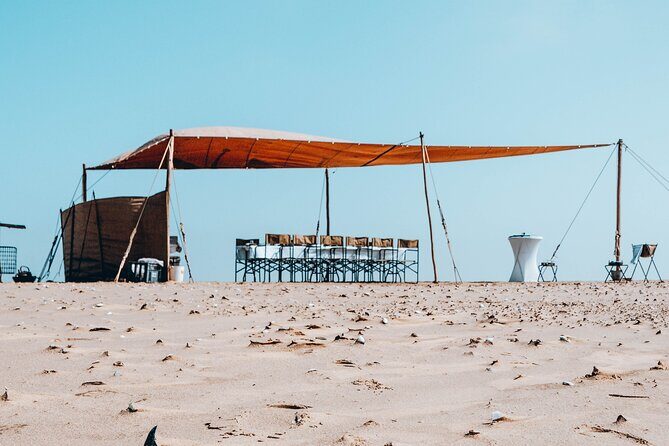 Mola Mola Marine Dolphin Cruise & Beach Braai on Pelican Point - Price and value: what your $181.14 buys you