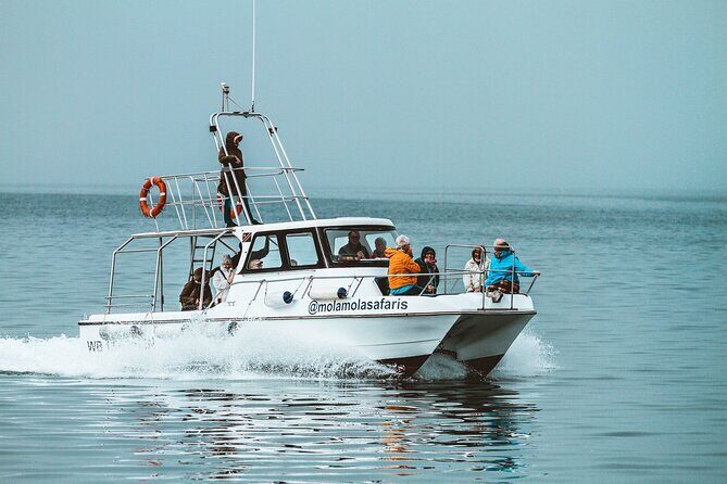 Mola Mola Marine Dolphin Cruise from the Walvis Bay Waterfront to Pelican Point - Walking Through the Route: Waterfront, History Stops, and the Seal Colony