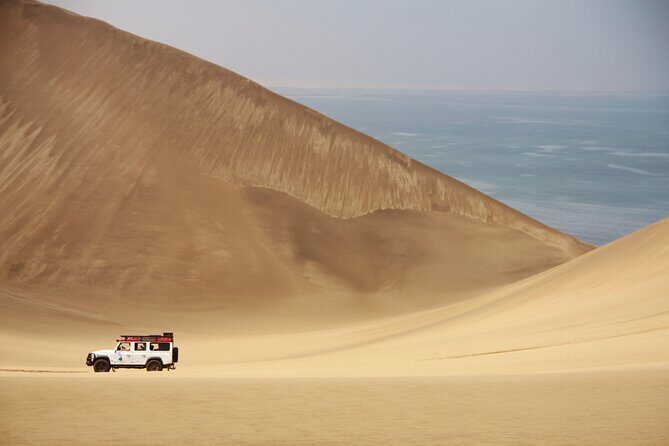 Mola Mola Marine Dune Experience - Getting On the Water: Walvis Bay Waterfront, Checks, and the 9:00 Departure