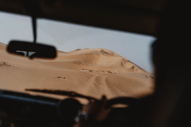 Mola Mola Marine Dune Experience - What You Might See at Sandwich Harbour: Desert-Adaptive Life
