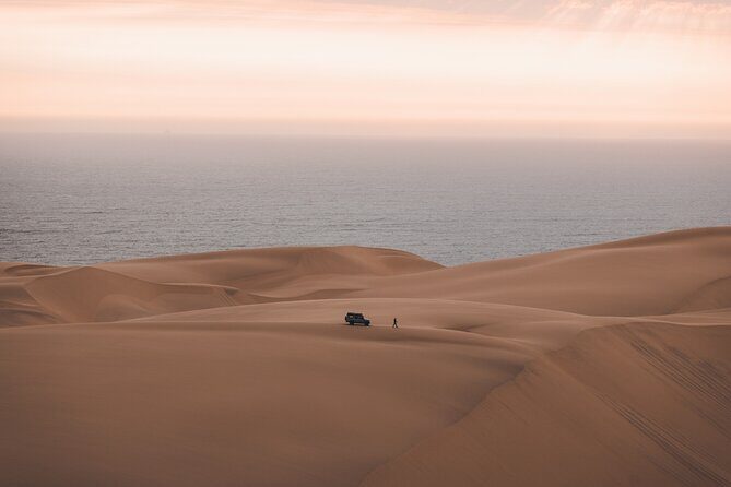 Mola Mola Marine Dune Experience - The Boat Guides: Multi-Lingual, Upbeat, and Built for Long Wildlife Watching