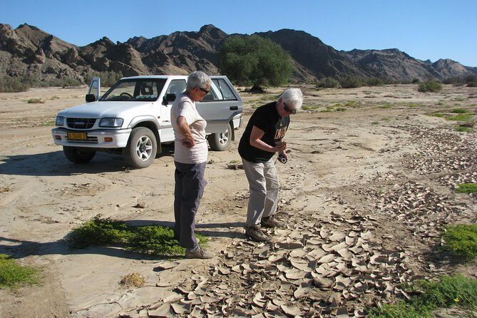 NAMIB DESERT TOURS, Full-Day and Half-Day Tours from Swakopmund, Namibia - Price and Logistics: Does $75.16 Feel Like Good Value?