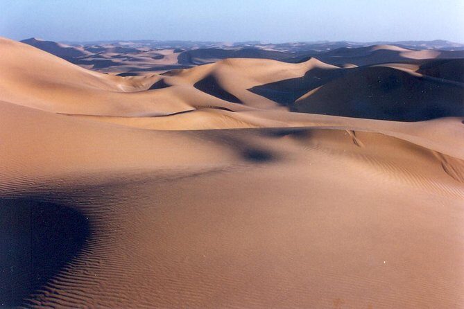 NAMIB DESERT TOURS, Full-Day and Half-Day Tours from Swakopmund, Namibia - Should You Book This Namib Desert Tour?