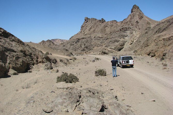 NAMIB DESERT TOURS, Full-Day and Half-Day Tours from Swakopmund, Namibia - First Stop: Namib Desert, Ringing Stones and Living Fossil Plants