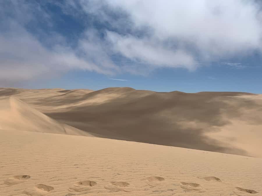 Namibia; Classic Sandwich Harbour Tour - Bird Island and Walvis Bay: birds, salt air, and quick nature breaks