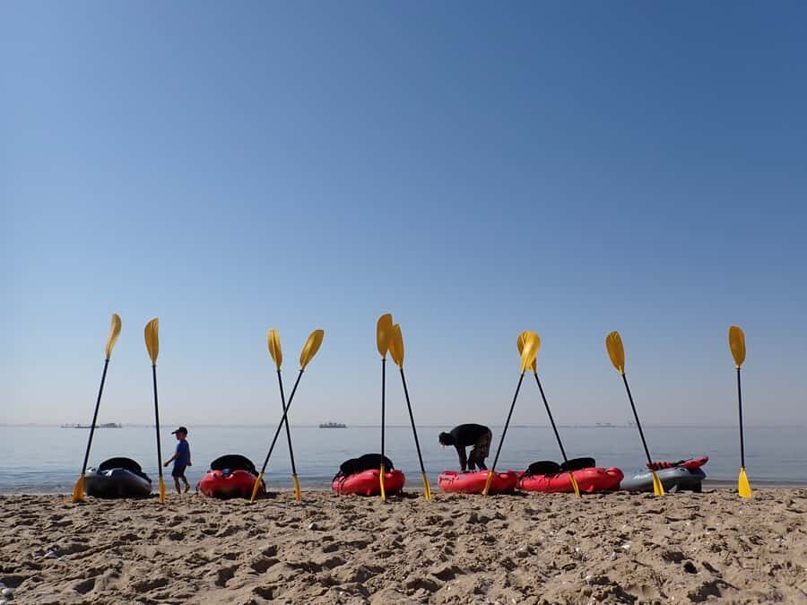 Pelican Point: Kayak with Seals Experience - Key moments you’ll remember