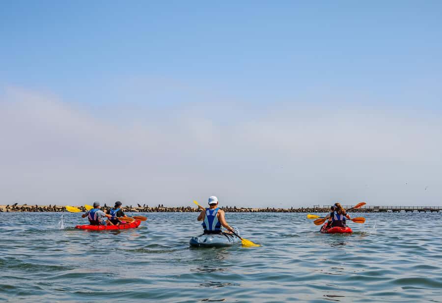 Pelican Point: Kayak with Seals Experience - The return by 4x4: peninsula views and guided explanations