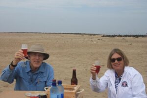 Pelican Point Peninsula Tour- visit the seal colony - Walvis Bay Lagoon: flamingos, pelicans, and the birdlife you came for