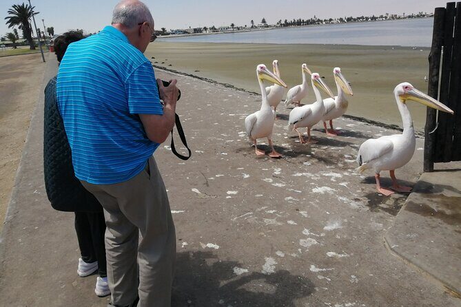 Pelican Point tours,Lagoon tours, Dune7 Adventure - Price and Value: Is $250 Per Person Fair for This Two-Day Mix?