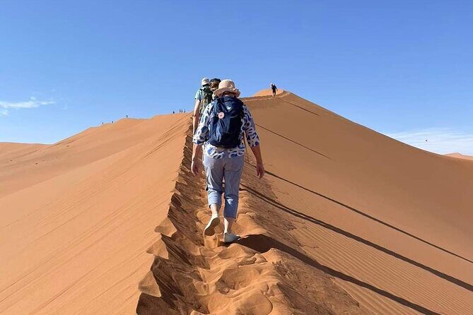 Pelican Point tours,Lagoon tours, Dune7 Adventure - Practical Expectations: Timing, Weather, and What to Bring Your Mind For