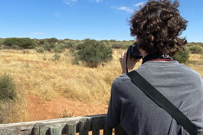 Predator Encounter: Half-Day Carnivore Feeding Windhoek - Getting there from Zoo Park: timing, pickup, and the small-group feel