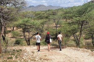 Private Guided Walking Tour with the San in Windhoek - San plant knowledge: survival skills explained in a way you can actually use
