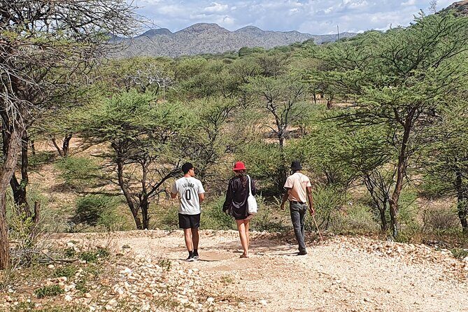 Private Guided Walking Tour with the San in Windhoek - San plant knowledge: survival skills explained in a way you can actually use