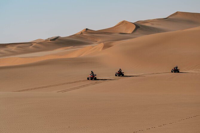 Quad Bike Tour (90min) - Should You Book This Quad Bike Tour?