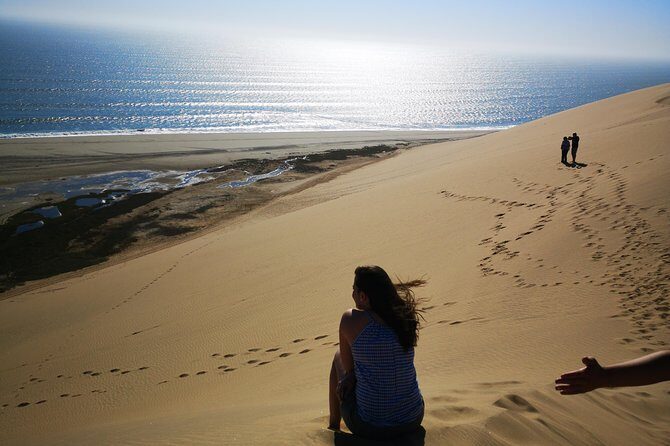 Sandwhich Harbour Dune 4x4 Full Day - Key Things to Know Before You Go