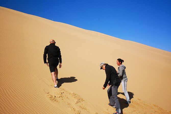Sandwhich Harbour Dune 4x4 Half day - Snacks, lunch, and that coastside pause
