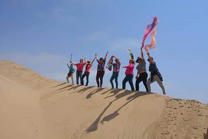 Sandwhich Harbour Dune 4x4 Half day - Time, group size, and pick-up: the practical stuff that shapes your day