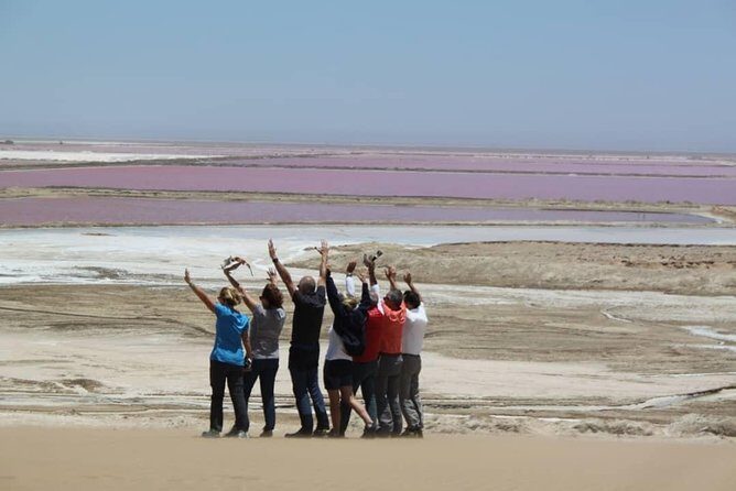 Sandwhich Harbour Dune 4x4 Half day - Walvis Bay Waterfront lagoon stop: flamingos and birdwatching in minutes