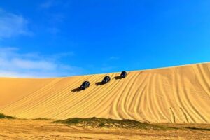 Sandwich Harbour 4x4 Adventure - Birdwatching and photography: why the lagoon matters