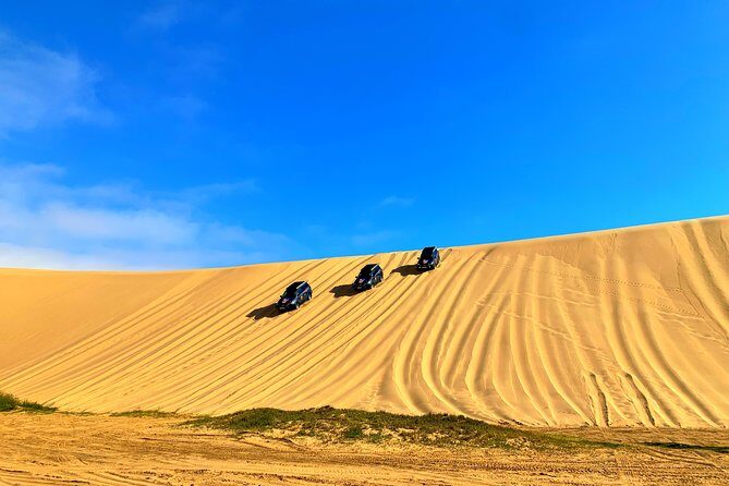 Sandwich Harbour 4x4 Adventure - Birdwatching and photography: why the lagoon matters