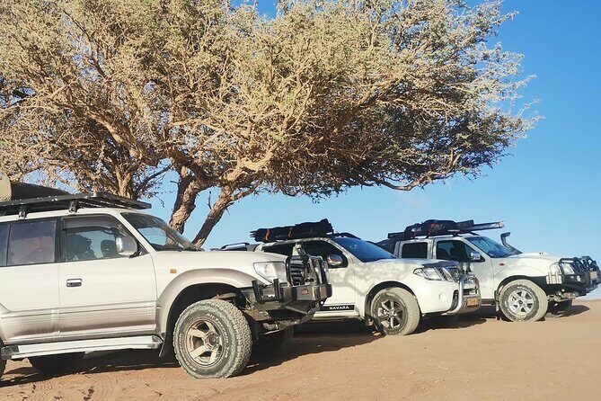 Sandwich Harbour 4X4 Excursion Tour Food and Drinks - Stop-by-stop: what you’ll actually do and what you should watch for