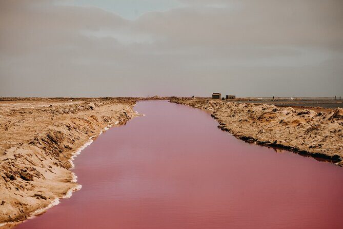 Sandwich Harbour 4x4 Guided Tour - Unforgettable Adventure - Namib-Naukluft Park on the way: the real 4x4 feeling